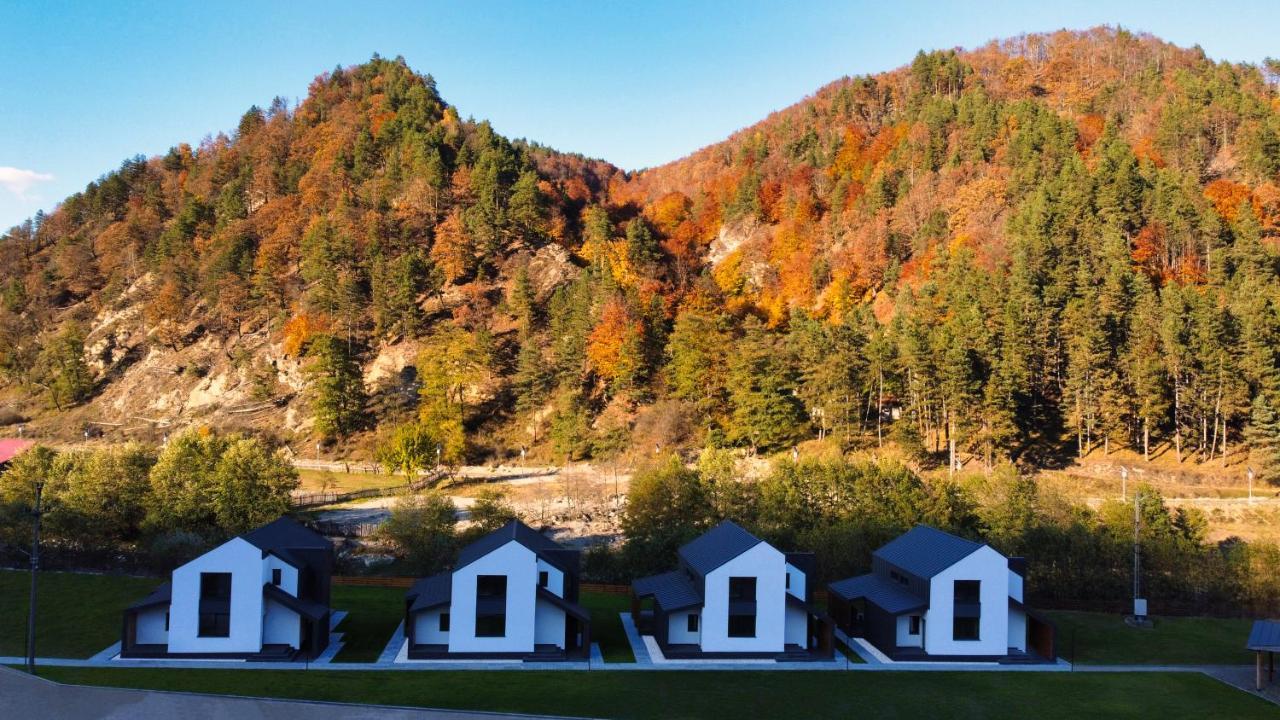 Complex Lunlo Village Brezoi Exterior photo